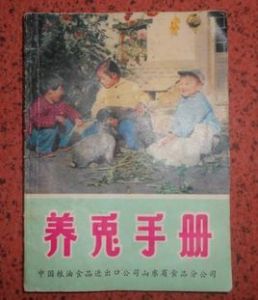 養兔手冊