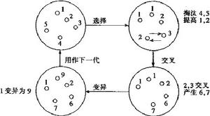 最優控制理論