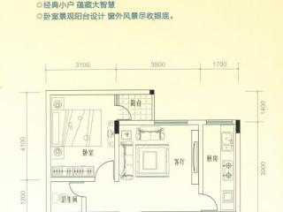 戶型圖