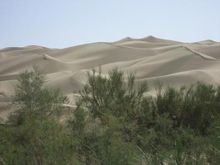 塔里木沙漠公路風景圖集