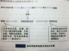 麻風兩型兩類相互間的關係圖