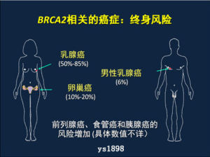 卵巢癌易感基因檢測