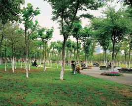 金橋公園[上海市浦東新區第二大公園]