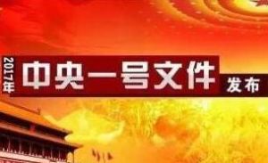 2017年中央一號檔案