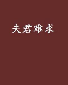 夫君難求[小說]