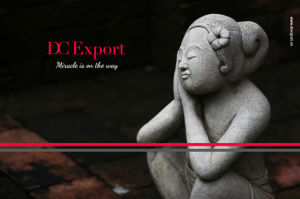 dcexport