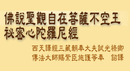 佛說聖觀自在菩薩不空王秘密心陀羅尼經