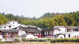 五龍村[福建省上杭縣古田鎮五龍村]