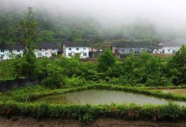 神堂坪村[山西省呂梁市交城縣會立鄉下轄村]