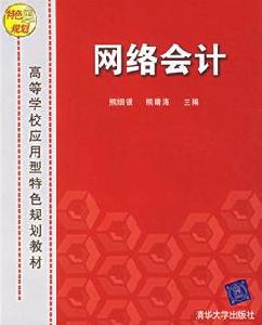 網路會計[網際網路的一種會計活動]