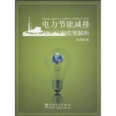 《電力節能減排政策解析》