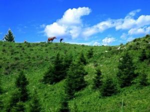 五嶽寨旅遊風景區