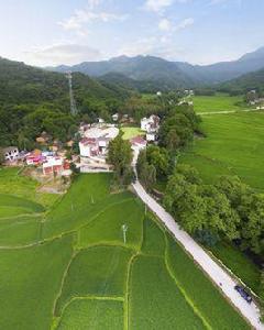 齊山村[河南省固始縣齊山村]