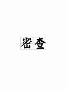 密查[漢語詞語]