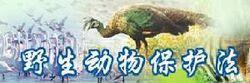 野生動物保護法