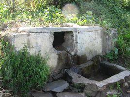 水井自然村[雲南省昭通永善縣溪洛渡鎮雪柏村水井自然村]