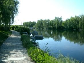 泰山國際濕地公園