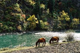 百靈山