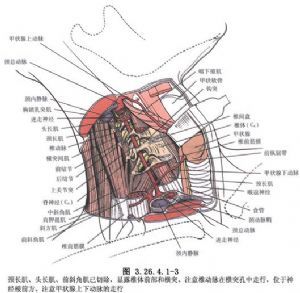 頸心綜合徵