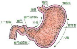 腸胃十大最怕