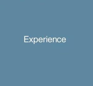 EXPERIENCE