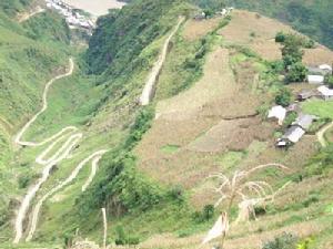 進村道路