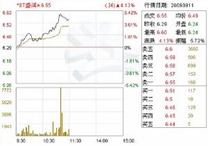 廣東盛潤集團股份有限公司