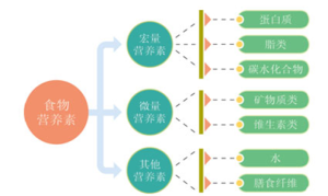 人體細胞標準化