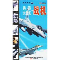 戰機[2009年山東人民出版社出版圖書]