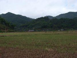 麻櫟樹自然村[雲南省騰衝縣五合鄉麻櫟樹自然村]