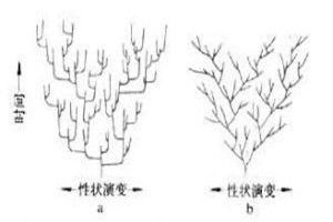 間斷平衡論