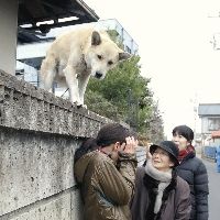 （圖）雷太郎