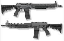 SIG  556