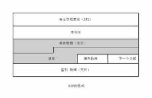 esp[封裝安全載荷]