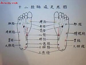 陰病治陽