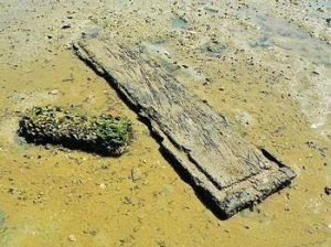 瓊州大地震遺址