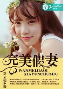 完美假妻 完美假妻