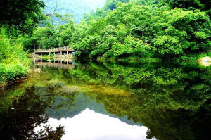 逍遙谷[中山市]