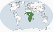 南非鴨分布圖