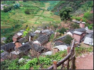 團結芹菜溝村