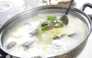 冬瓜鱧魚湯