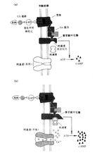 經典條件反射