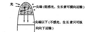 實驗