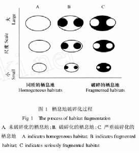 棲地碎裂化