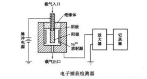 電子捕獲