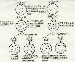 塗布試驗