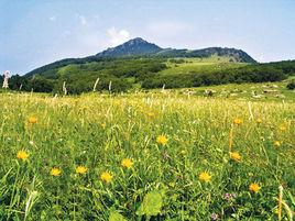 門頭溝百花山自然風景區