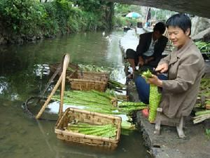 石溪鄉