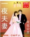 《一夜夫妻》