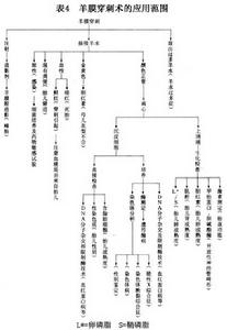 埃萊爾-當洛綜合徵